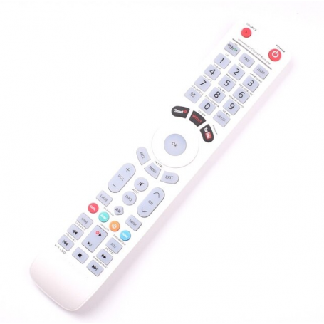 Telecommande universelle de television pour SHARP PHILIPS HAIER HITACHI SANYO TCL KONKA PANASONIC HISENSE GRUNDIG VESTEL TV