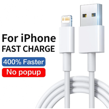 Câble USB à Recharge Rapide Iphone